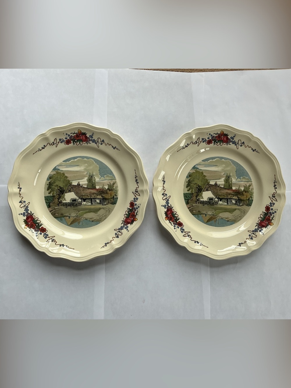 Set of two vintage Sarreguemines Obernai plates, 10” round